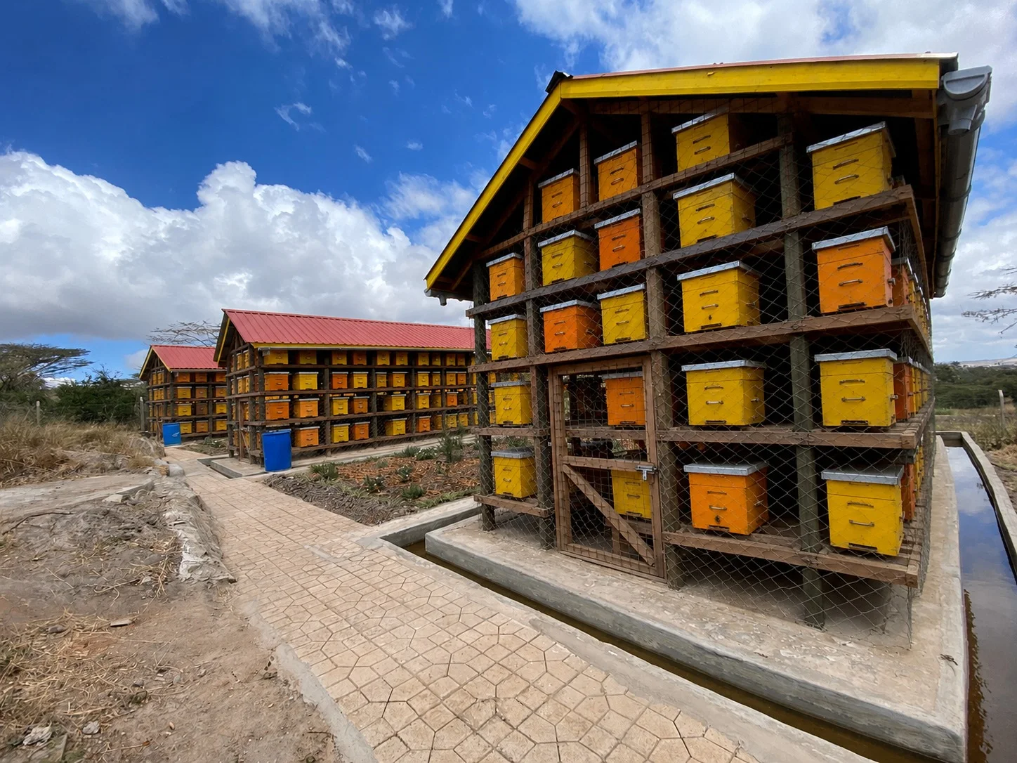 Full hive rack at Mwendo wa Musau Integrated Farm, Malili